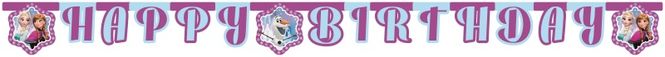 Hovedbilde Frozen Northen Lights Banner