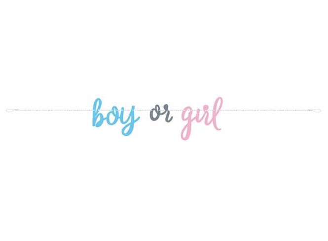 Hovedbilde Gender Reveal Party - 1 Bokstavbanner - 213cm