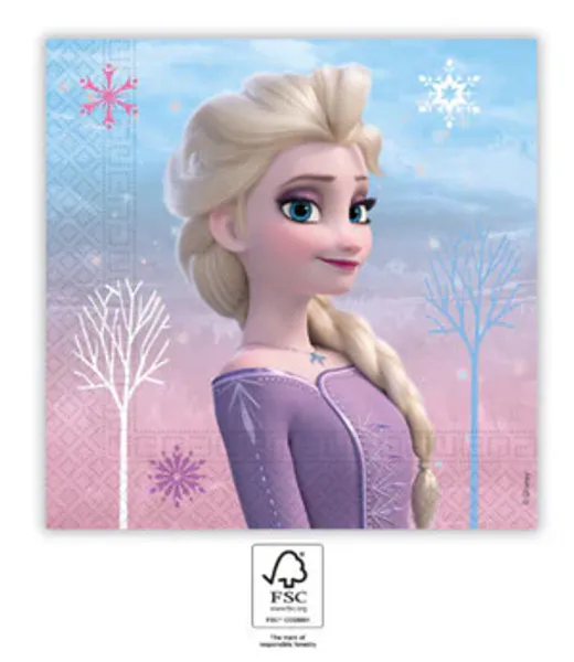 Hovedbilde Papirservietter Frozen 2 20 stk